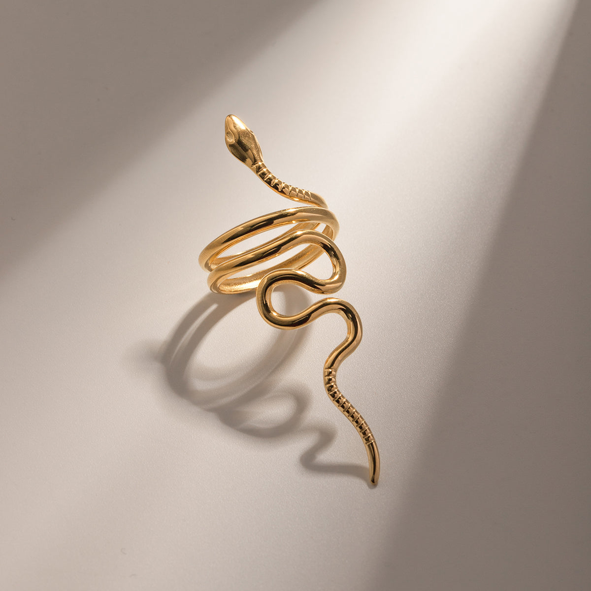 Urban Serpent Stainless Steel RIng