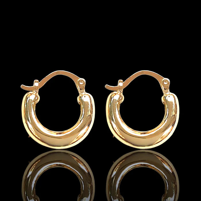 Halo 18k Gold Filled Earrings ko